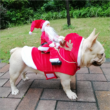 Pet dog christmas clothes Santa Claus riding clothes